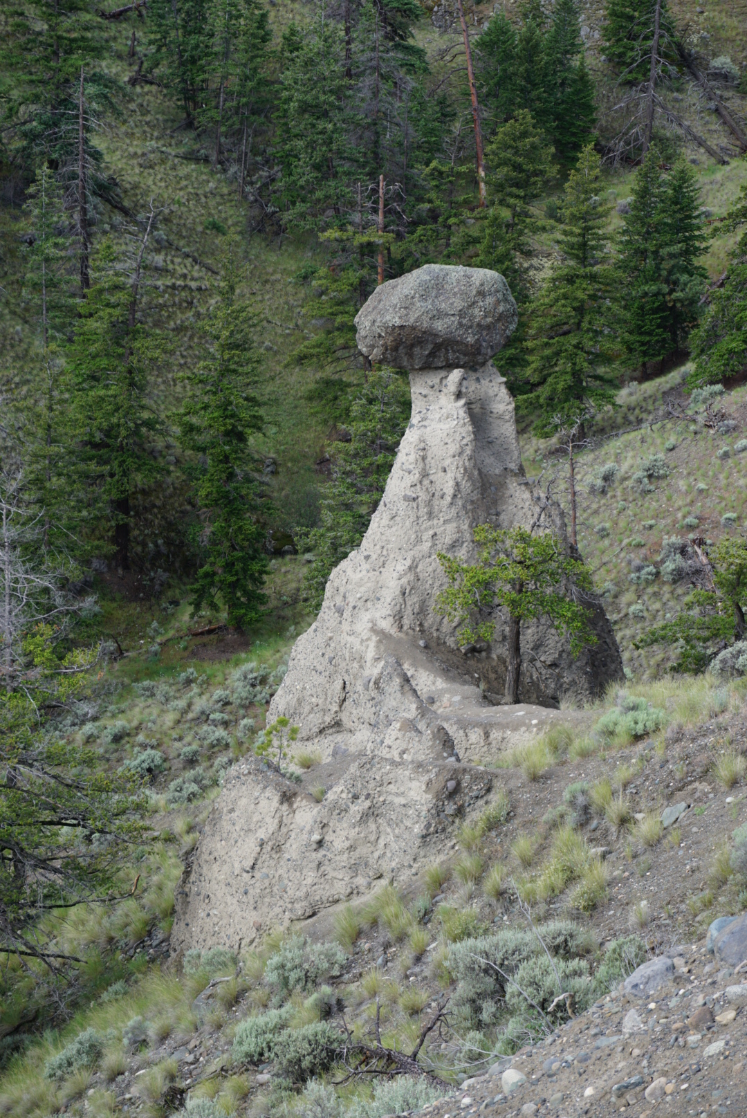 Kamloops Rocks B.C. Country Roads No. 2 – Kamloops Hikes – Mara Loop and Balancing ...