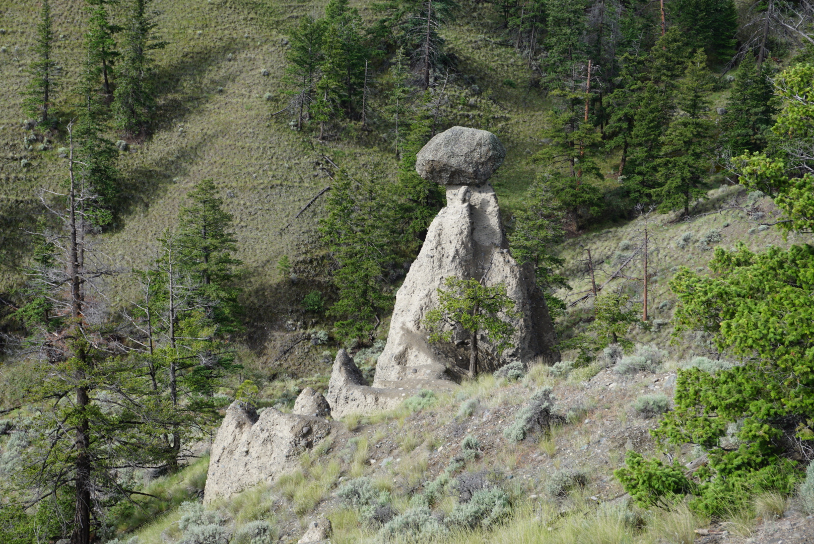 Kamloops Rocks B.C. Country Roads No. 2 – Kamloops Hikes – Mara Loop and Balancing ...